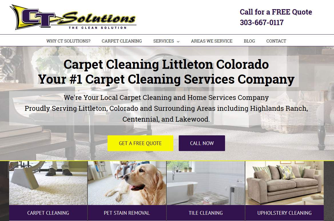 Ct Solutions Usa Carpet Cleaner